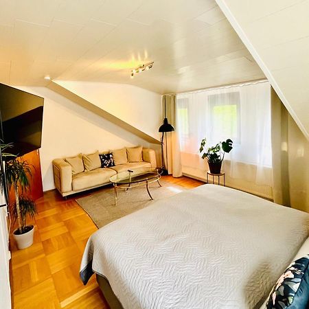 Casa Inn Parkview - Relax & Chill - Perfect For Business Travel, Weekend Trip, Family&Friends, Dogs Lover, Romance, Layover Or Longstay 림부르크안더란 외부 사진